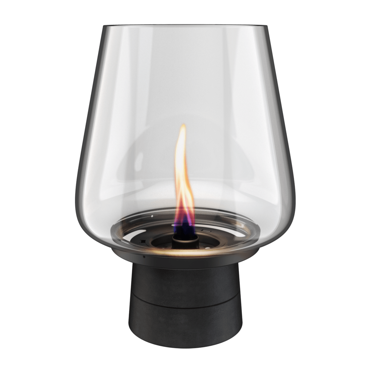 Tenderflame Amaryllis 25 MgO black