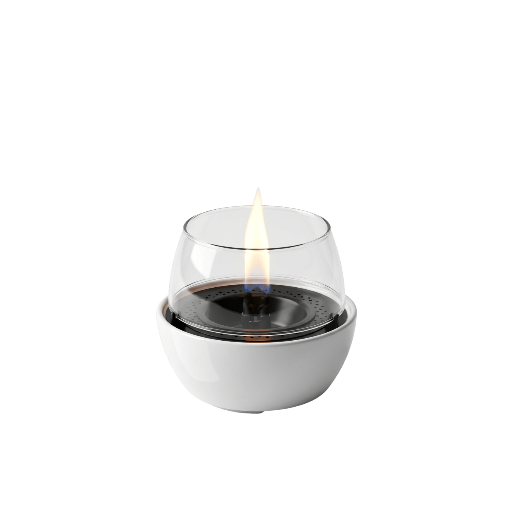 Tulip 14 White - Tenderflame